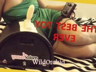 WildOrchid_