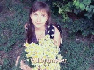 Wildcumster