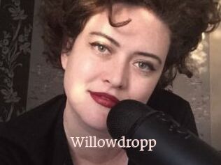 Willowdropp