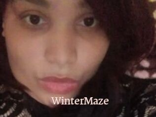 Winter_Maze