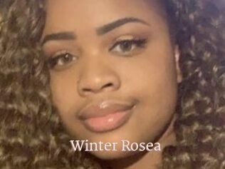 Winter_Rosea