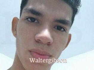 Waltergibson
