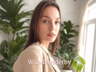 Wandaenderby
