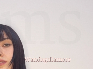 Wandagallamore