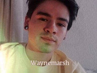 Waynemarsh