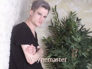 Waynemaster