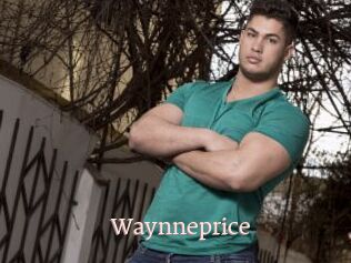 Waynneprice