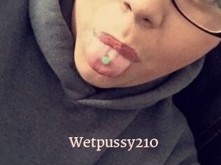 Wetpussy210