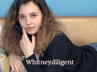 Whitneydiligent