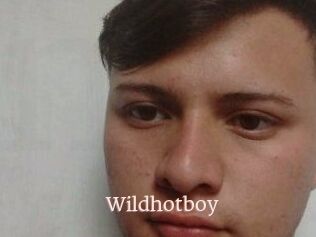 Wild_hotboy