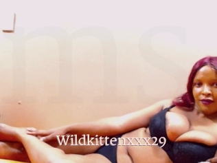Wildkittenxxx29