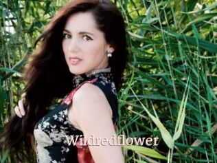 Wildredflower