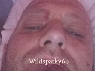 Wildsparky69