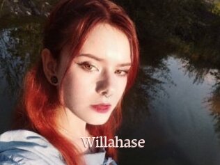 Willahase