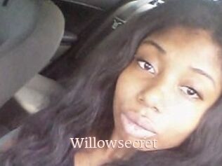 Willow_secret