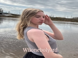 Wilonebolyard