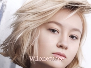 Wilonefudge