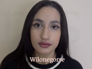 Wilonegorse