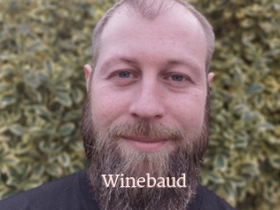 Winebaud