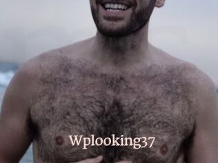 Wplooking37