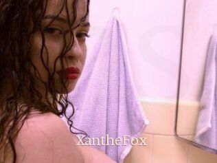 Xanthe_Fox