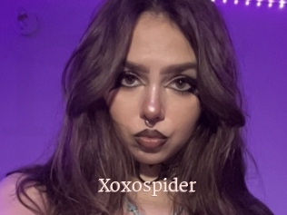 Xoxospider