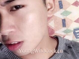 YoungWildCock4u