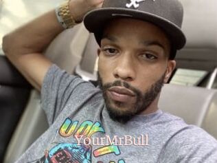 YourMrBull