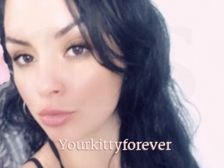 Yourkittyforever