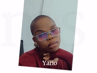 Yario