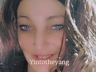 Yintotheyang