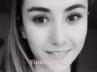 Yourmouse23