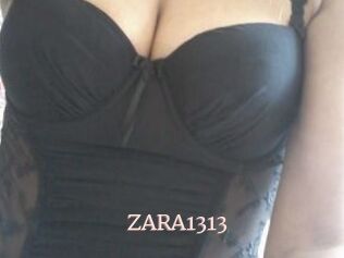 ZARA1313