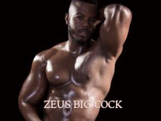 ZEUS_BIG_COCK