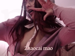 Zhaocai_mao
